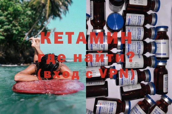 шишки Пересвет