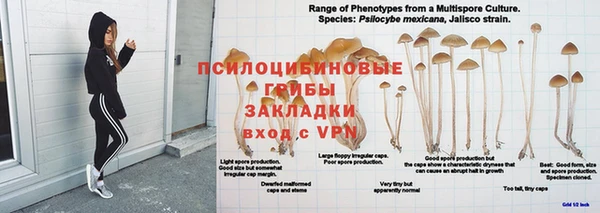 Альфа ПВП Осинники