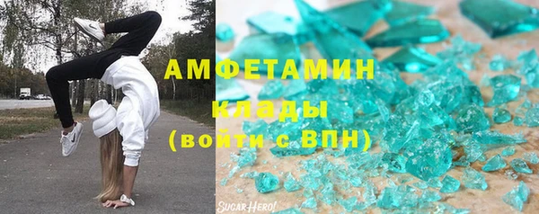 шишки Пересвет
