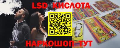 ALPHA PVP Камышлов