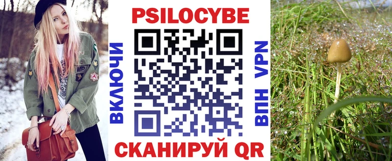 купить наркоту  Полысаево  Псилоцибиновые грибы прущие грибы 