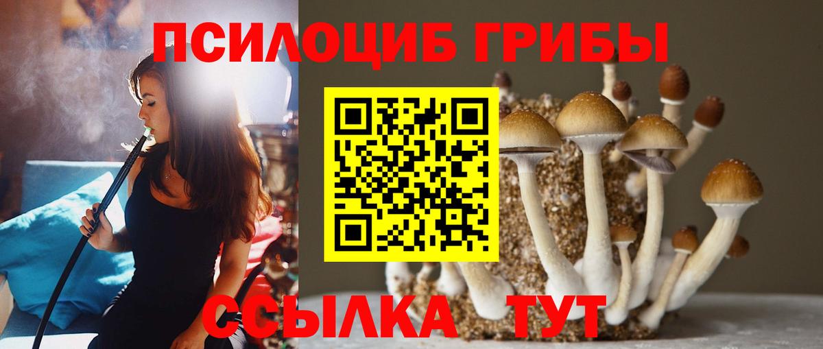 Псилоцибиновые грибы Psilocybe  Вход с VPN  купить наркоту  Галлюциногенные грибы мухоморы  Полысаево 
