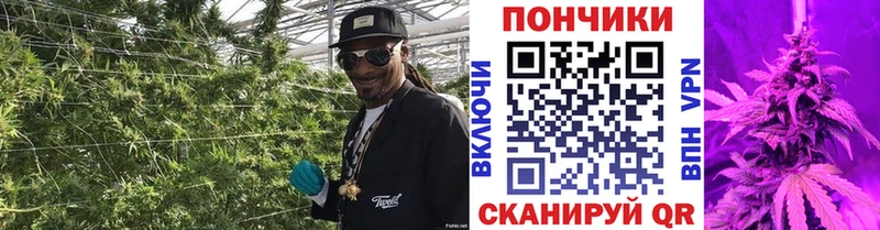 Каннабис сатива  маркетплейс формула  Полысаево  blacksprut маркетплейс 